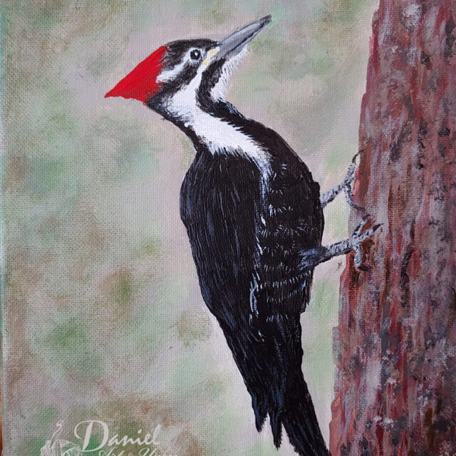 woodpecker artwork