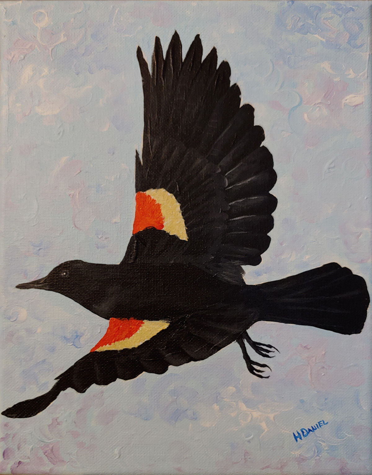 redwing-blackbird