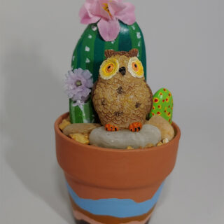 Owl Painted Rock Cactus Garden #101