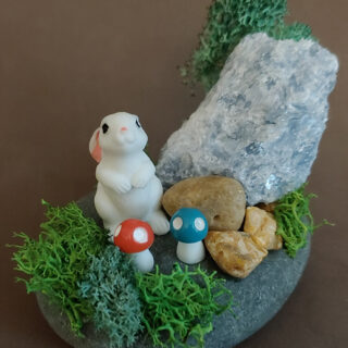 Curious Bunny and Crystal Rock Garden 002