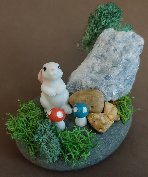 Curious Bunny and Crystal Rock Garden 002