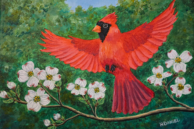 DAY-cardinal-flight-dogwoods