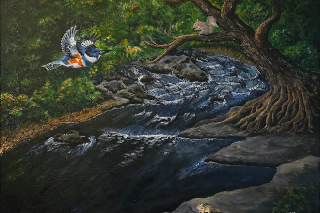 Kingfisher-over-Mountain-Stream