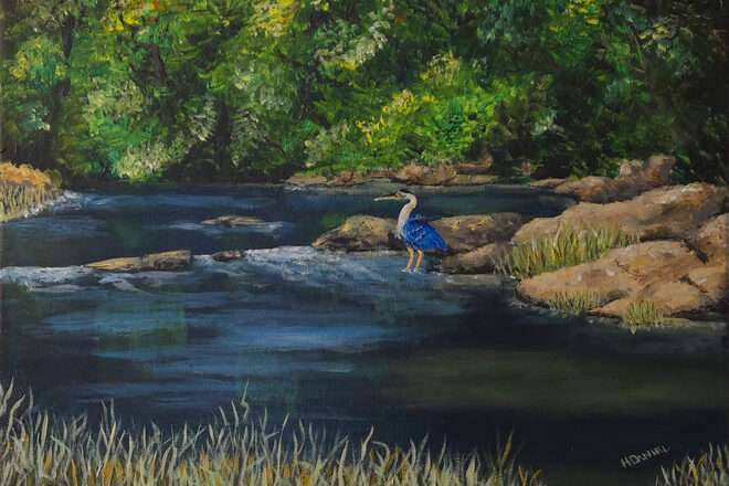 The-Neuse-River-Below-the-Falls