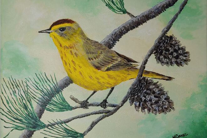Palm-Warbler-sized-02