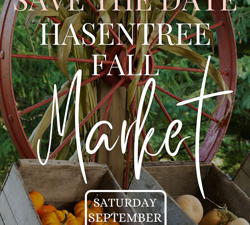 https://danielartandyarn.com/wp-content/uploads/2025/09/Hasentree-Fall-Market-web-2025-800x720.jpg